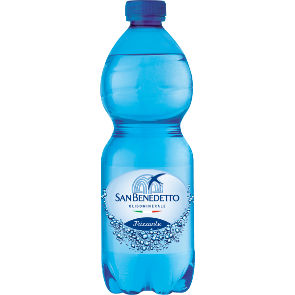 24BOTT*ACQUA SAN BENEDETTO GASSATA 500ML 