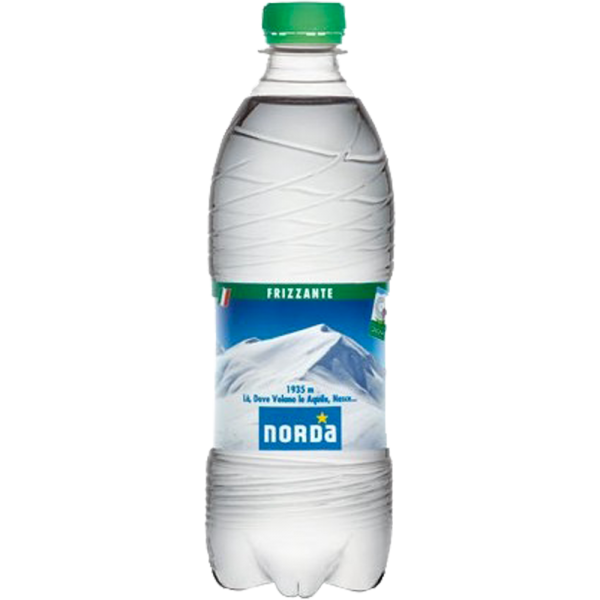 24BOTT*ACQUA NORDA GASSATA 500ML 