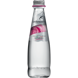  NATURALE WATER SAN BENEDETTO 250ML * 24BOTTLES