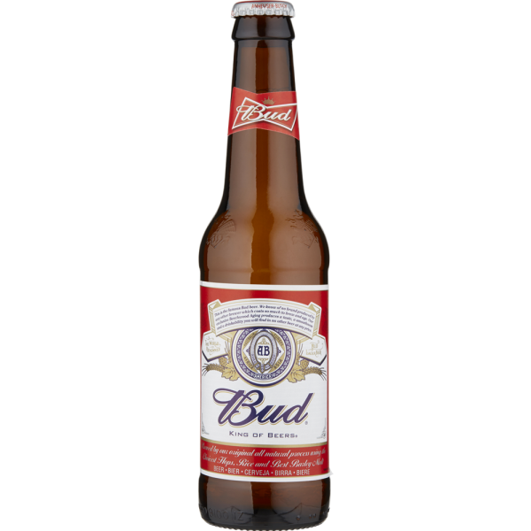 24BOTT*BIRRA BUD 330ML