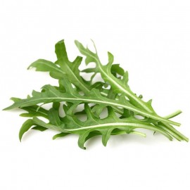 RUCOLA SELVATICA ( conf. 250g) 